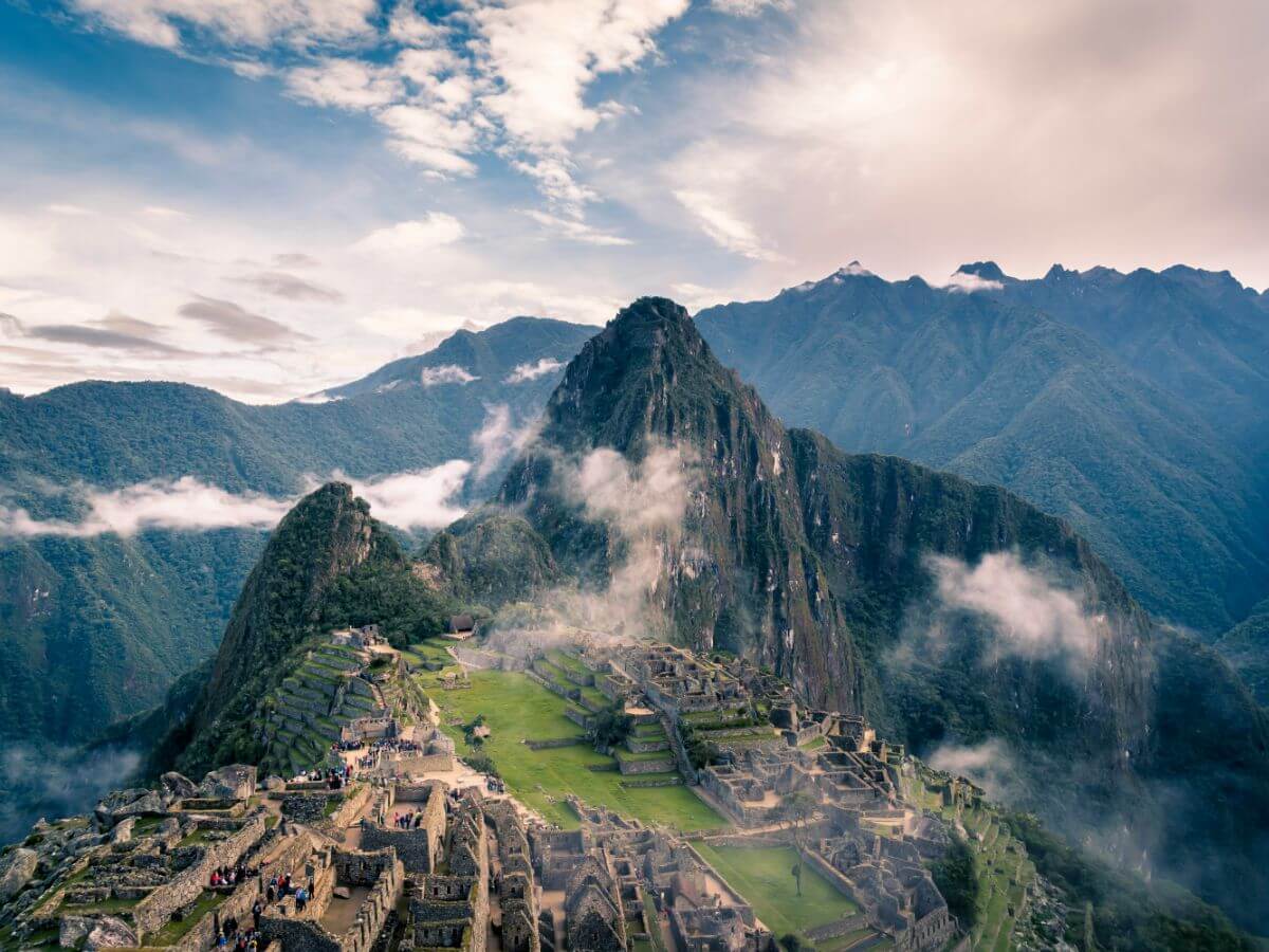 Your Roadmap to Roots: How Our Process Works